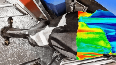 IDKTY_S6ImUuY7j5jDd4h project image 0